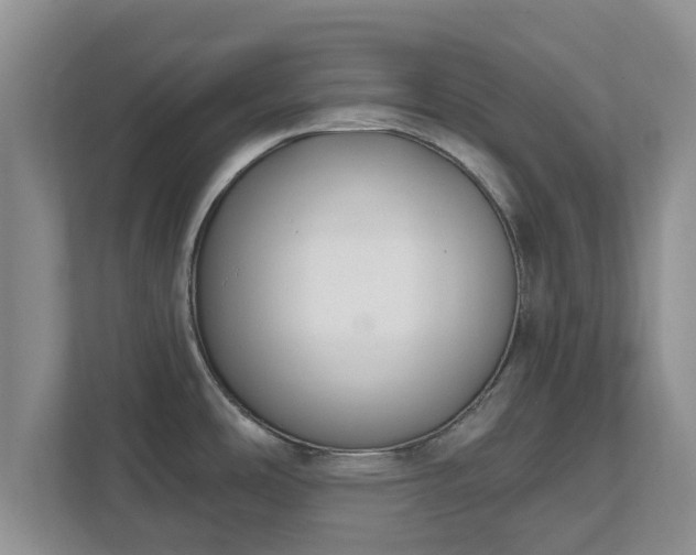X0000111621486200907241020