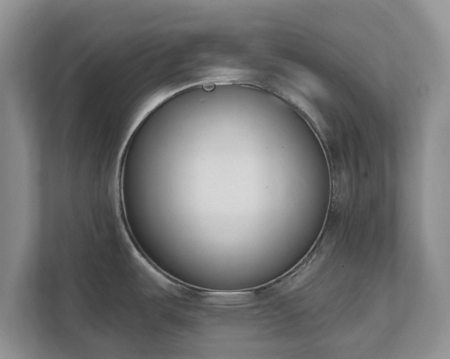 X0000111621487200907241020