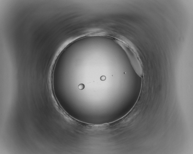 X0000111621488200907241020