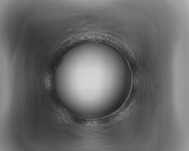 X0000111621490200907241019