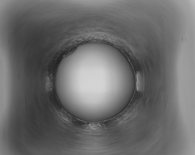 X0000111621491200907241019