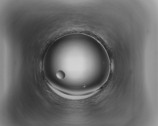 X0000111621492200907241019