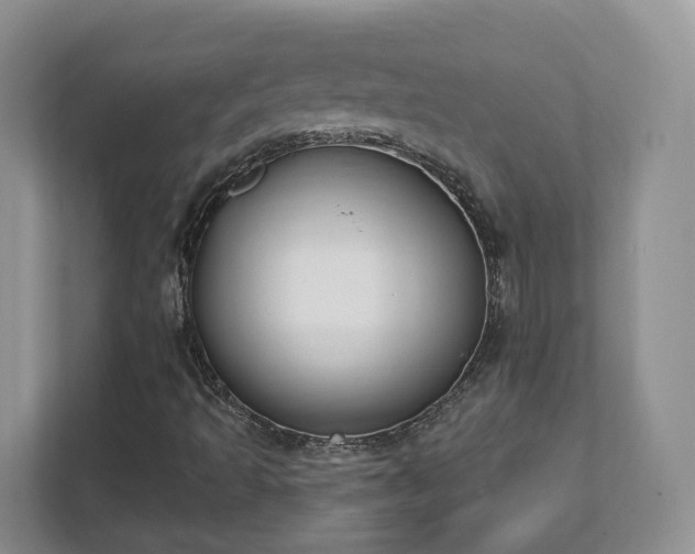 X0000111621493200907241019