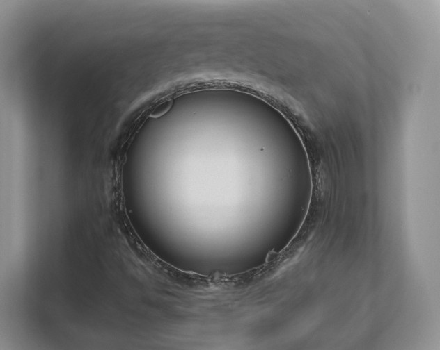 X0000111621494200907241019