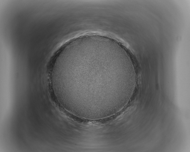 X0000111621496200907241019