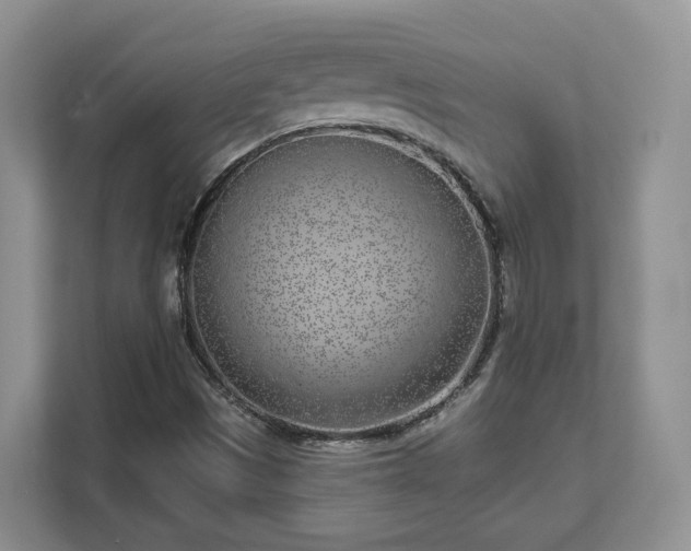 X0000111621497200907241019