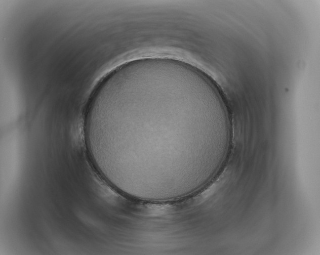 X0000111621498200907241019
