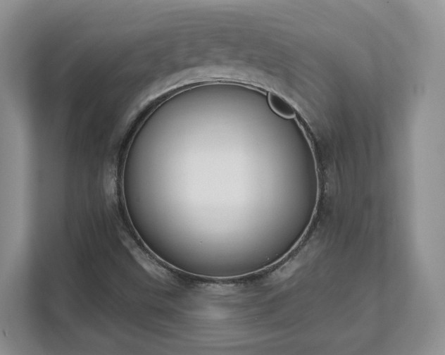 X0000111621499200907241019
