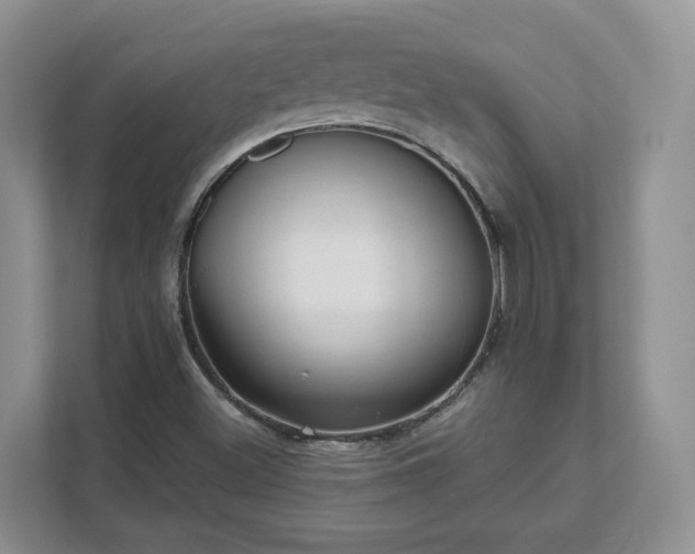 X0000111621500200907241019