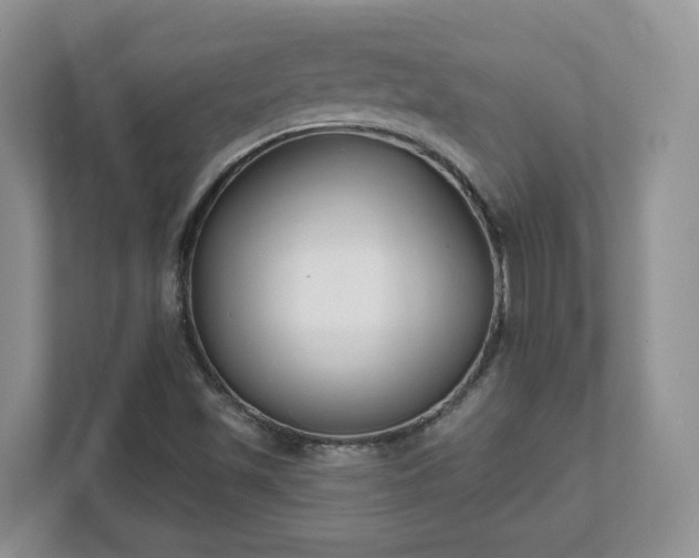 X0000111621501200907241019