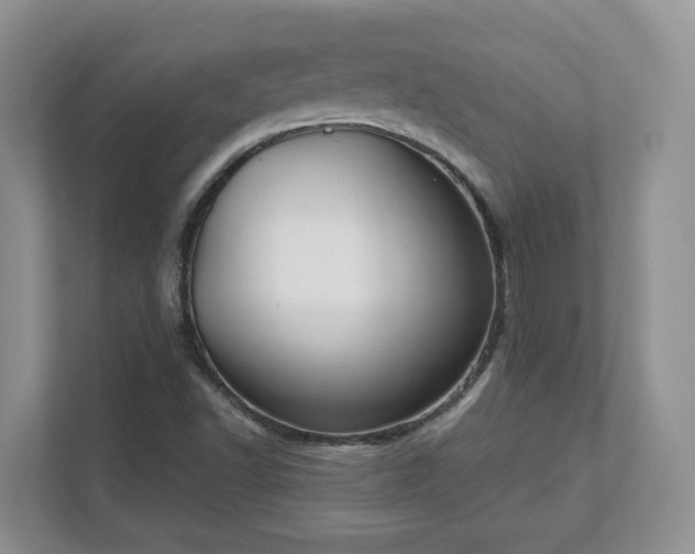 X0000111621502200907241019