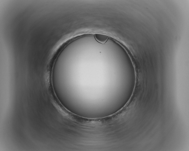 X0000111621503200907241019