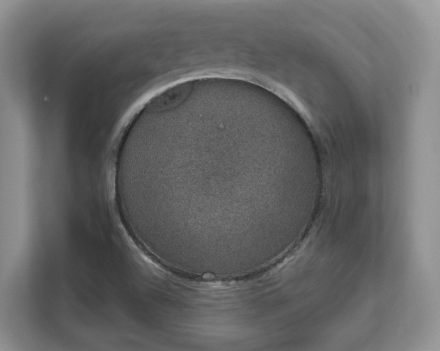 X0000111621504200907241019