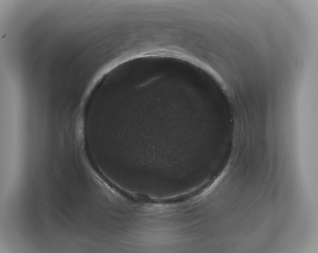 X0000111621506200907241019