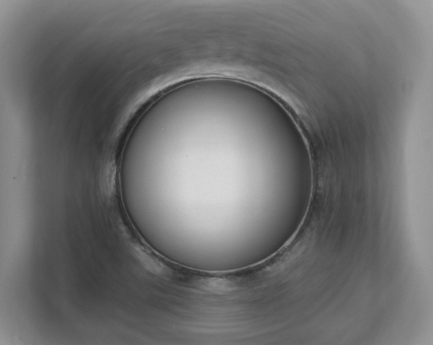 X0000111621507200907241019