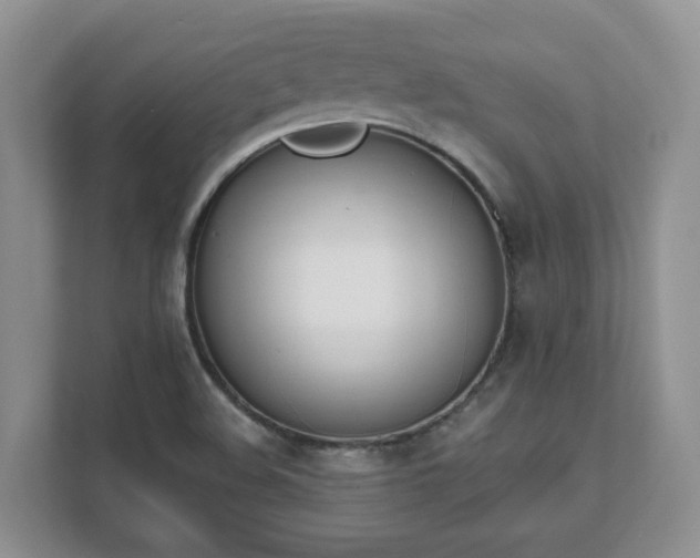 X0000111621508200907241019