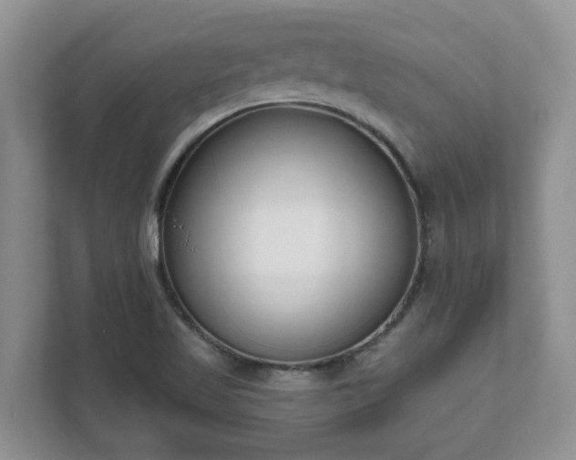 X0000111621509200907241019