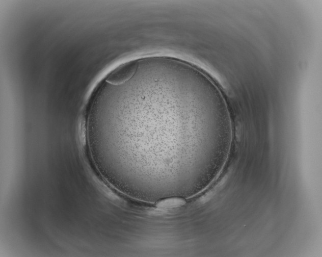 X0000111621510200907241019