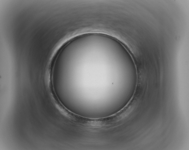 X0000111621511200907241019