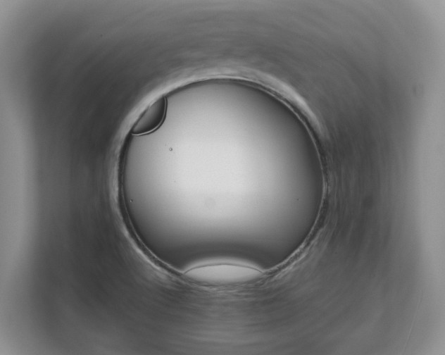 X0000111621512200907241019