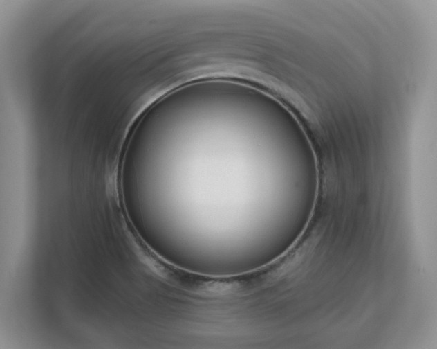 X0000111621513200907241019