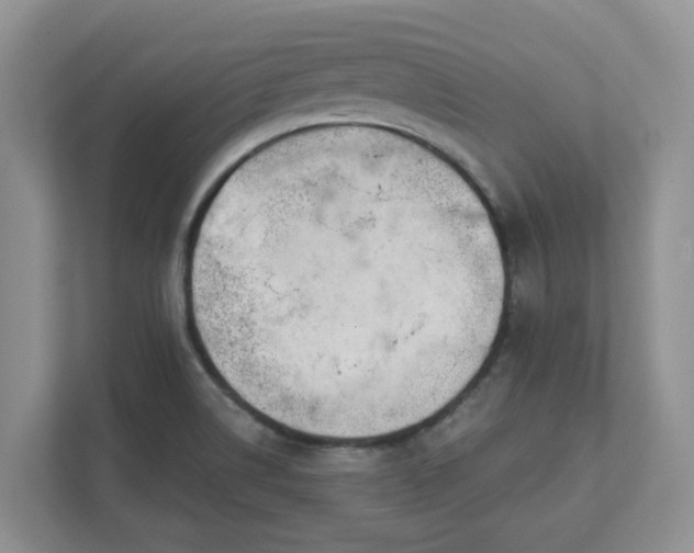 X0000111621514200907241019