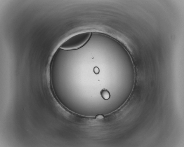 X0000111621516200907241019