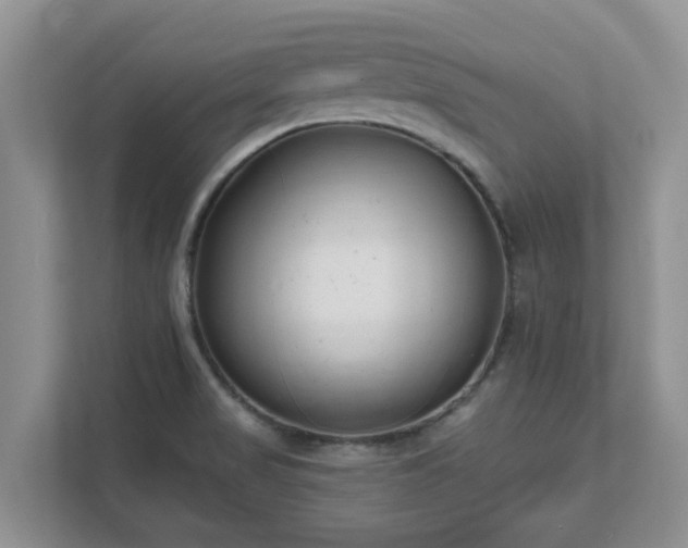 X0000111621517200907241019