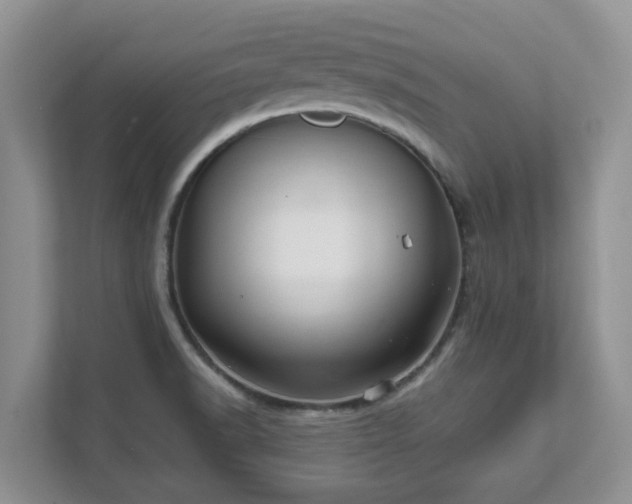 X0000111621518200907241019