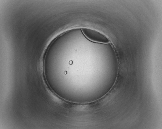 X0000111621519200907241019