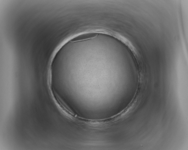 X0000111621520200907241019