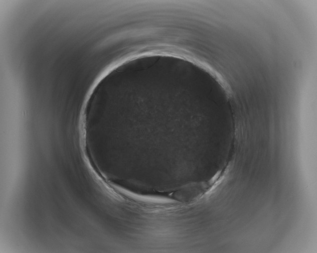 X0000111621522200907241019