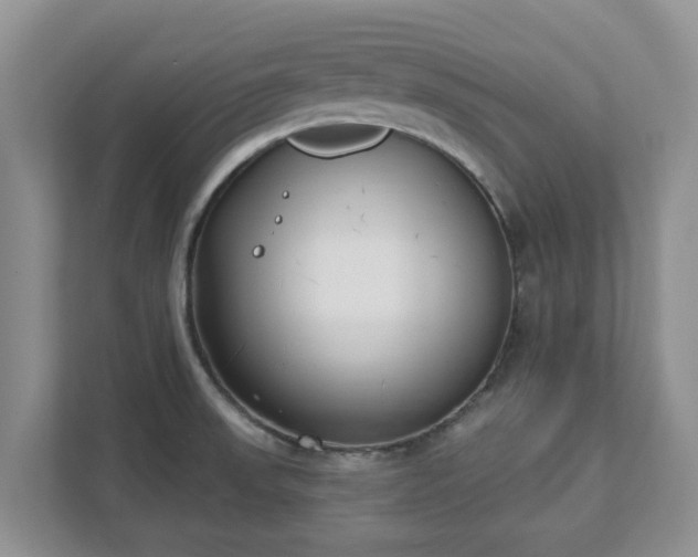 X0000111621523200907241019