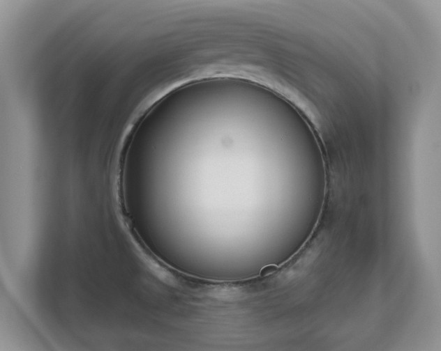X0000111621525200907241019