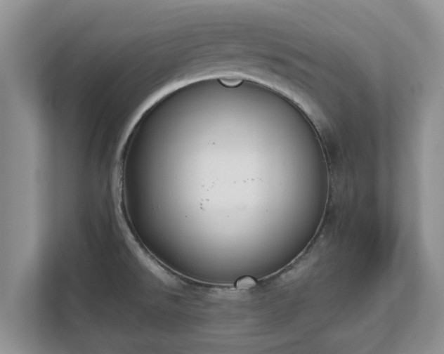 X0000111621526200907241019