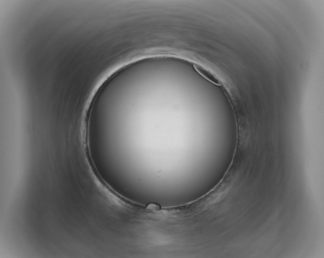 X0000111621527200907241019