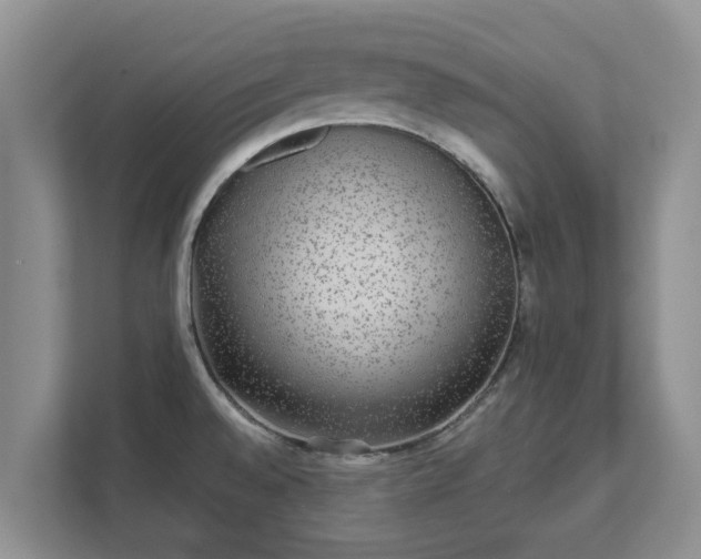 X0000111621528200907241020