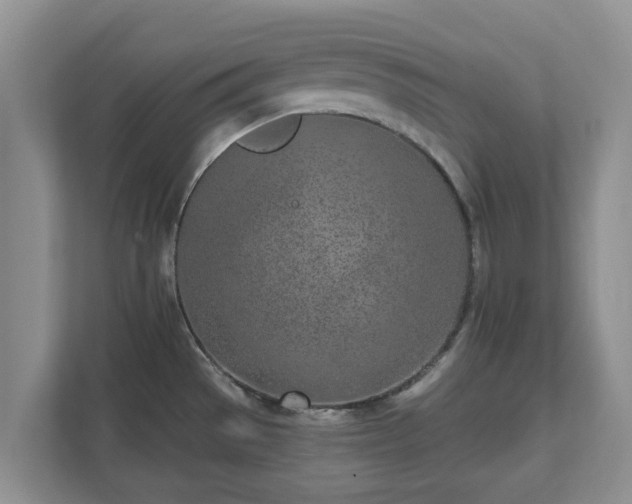 X0000111621529200907241020