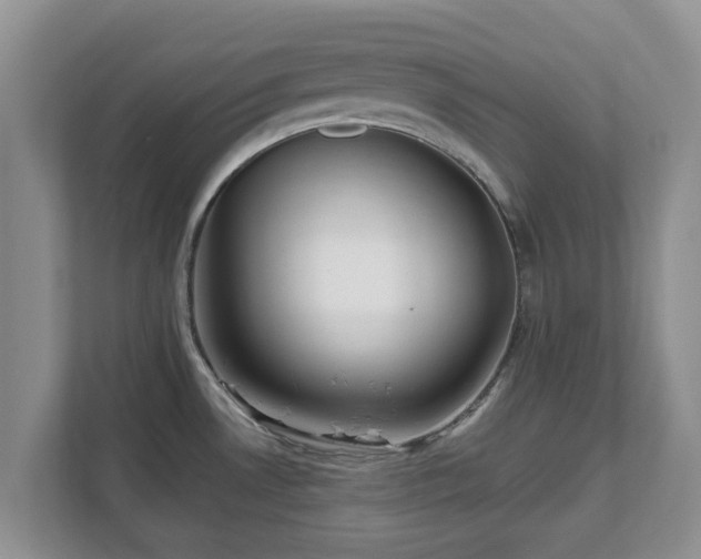 X0000111621530200907241020