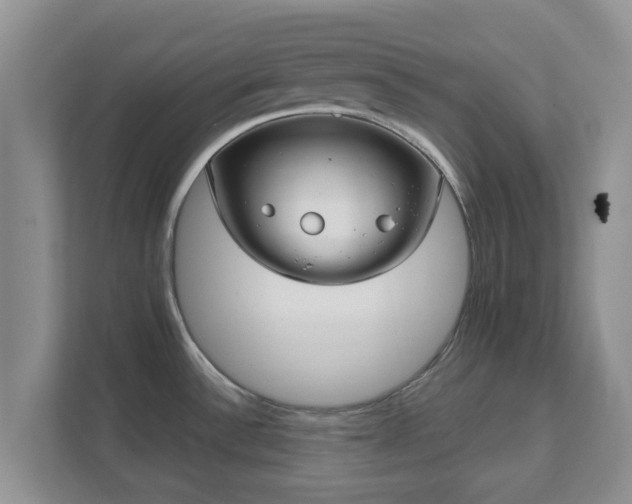 X0000111621532200907241020