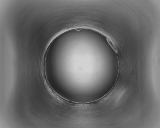 X0000111621534200907241020