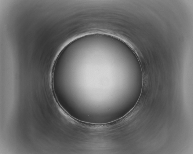 X0000111621535200907241020