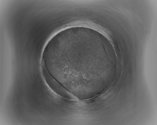 X0000111621536200907241020