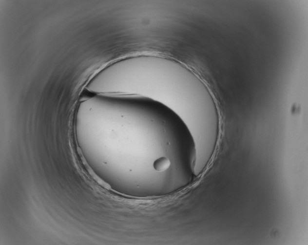 X0000111620001200907311214