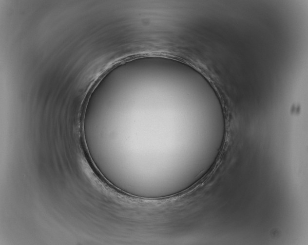 X0000111620002200907311214