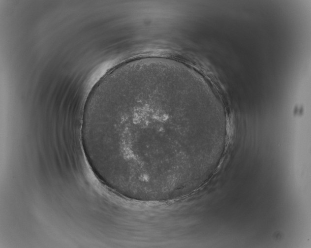 X0000111620003200907311214