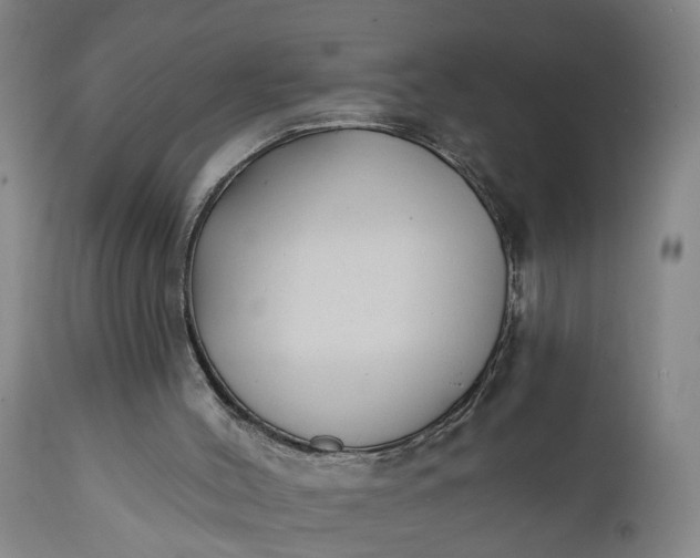 X0000111620004200907311214