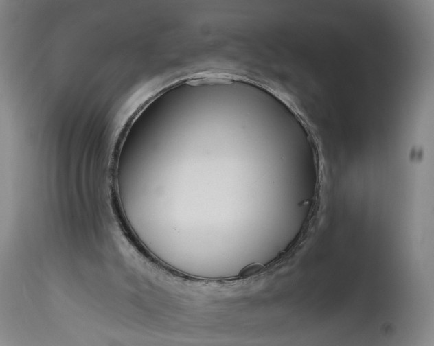 X0000111620007200907311214