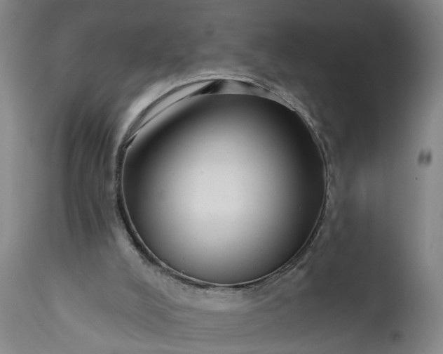 X0000111620008200907311214