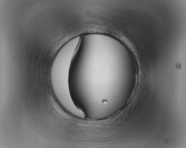 X0000111620009200907311213